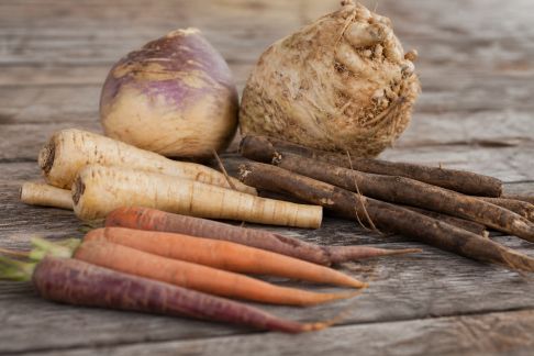 Légumes anciens : guide pour les intégrer à vos repas quotidiens