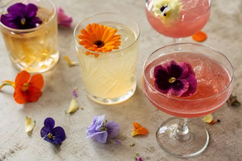 Utiliser fleurs comestibles et pétales pour sublimer vos cocktails