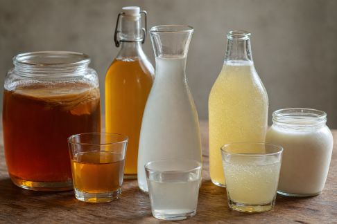 Boissons fermentées du monde : initiation et recettes à tester